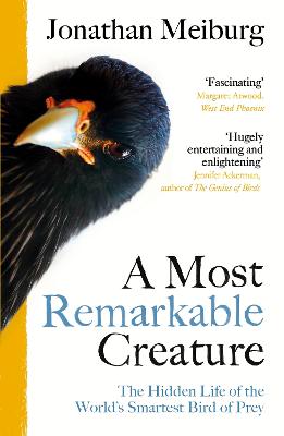Most Remarkable Creature