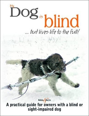 My Dog is Blind - But Lives Life to the Full!
