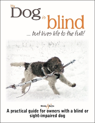 My dog is blind - but lives life to the full!