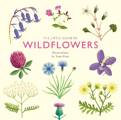 Little Guide to Wildflowers