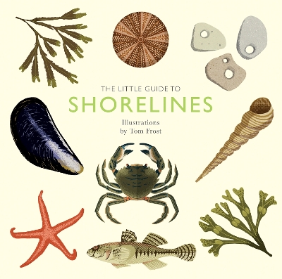 Little Guide to Shorelines