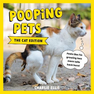 Pooping Pets: The Cat Edition