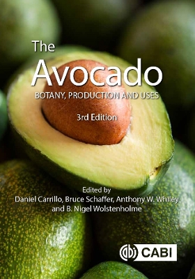 The Avocado