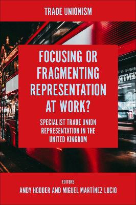 Focusing or Fragmenting Representation at Work?