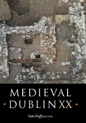 Medieval Dublin XX