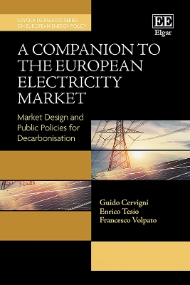 A Companion to the European Electricity Market