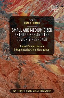 Small and Medium Sized Enterprises and the COVID-19 Response