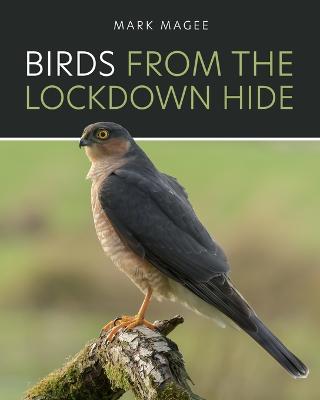 Birds From The Lockdown Hide