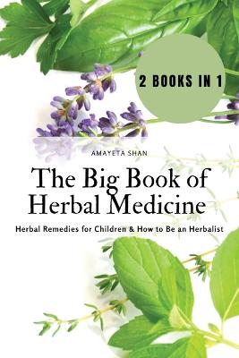 The Big Book of Herbal Medicine