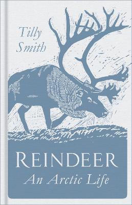 Reindeer