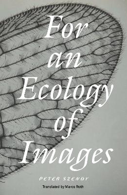 For an Ecology of Images