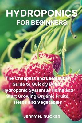 Hydroponics for Beginners