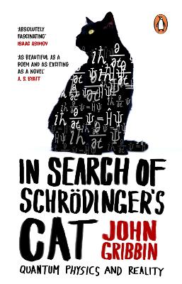 In Search Of Schrodinger's Cat