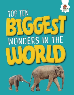 The Top Ten Biggest Wonders in the World