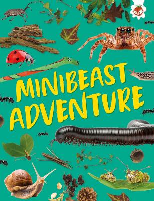 Minibeast Adventure