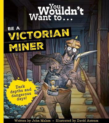 You Wouldn't Want To Be A Victorian Miner!