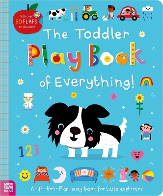 The Toddler Play Book of Everything!