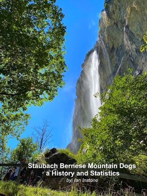 Staubach Bernese Mountain Dogs, a History and Statistics