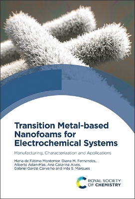 Transition Metal-based Nanofoams for Electrochemical Systems