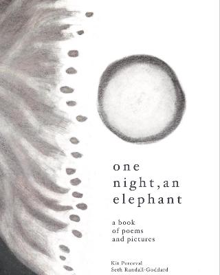 One Night, an Elephant