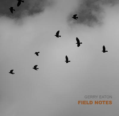 Field Notes