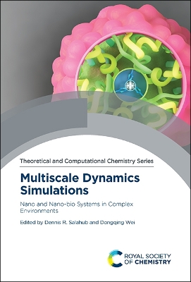 Multiscale Dynamics Simulations