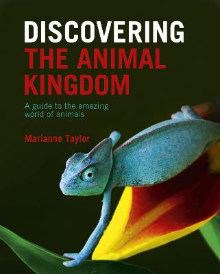 Discovering The Animal Kingdom