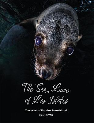 The Sea Lions of Los Islotes