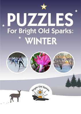Puzzles for Bright Old Sparks: Winter
