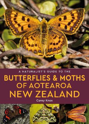 Naturalist's Guide to the Butterflies & Moths of Aotearoa New Zealand