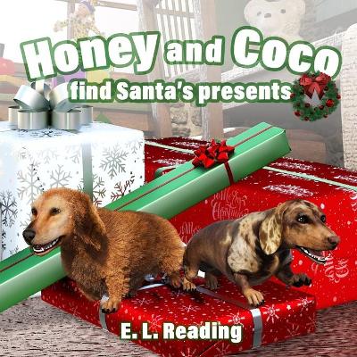 Honey and Coco find Santa's presents