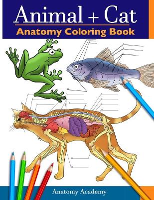Animal & Cat Anatomy Coloring Book