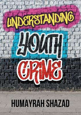 Understanding Youth Crime