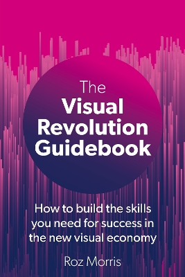 Visual Revolution Guidebook