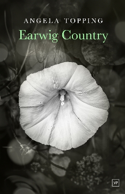 Earwig Country