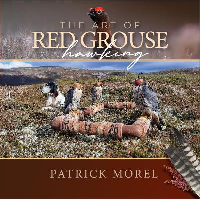 ART OF RED GROUSE HAWKING