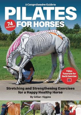 A Comprehensive Guide to Pilates for Horses