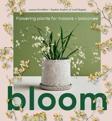 Bloom