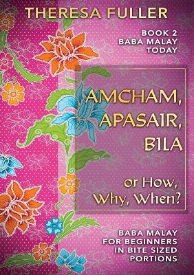 Amcham, Apasair, Bila or How, Why, When