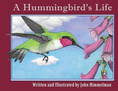 Hummingbird's Life