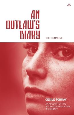 Outlaw's Diary