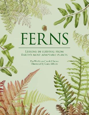 Ferns