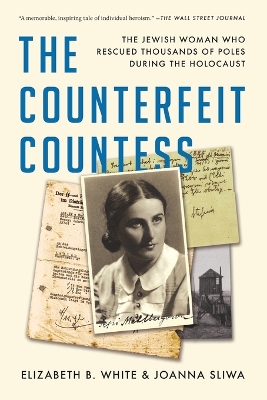 The Counterfeit Countess