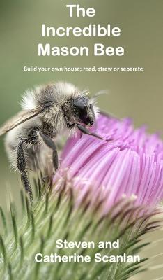 The Incredible Mason Bee