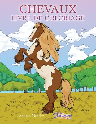 Chevaux livre de coloriage