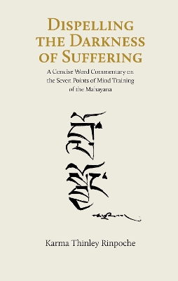 Dispelling the Darkness of Suffering