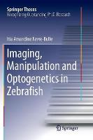 Imaging, Manipulation and Optogenetics in Zebrafish