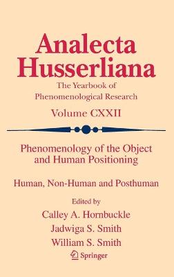 Phenomenology of the Object and Human Positioning