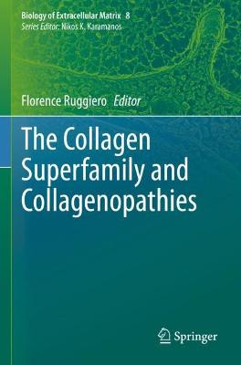Collagen Superfamily and Collagenopathies