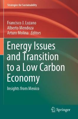 Energy Issues and Transition to a Low Carbon Economy